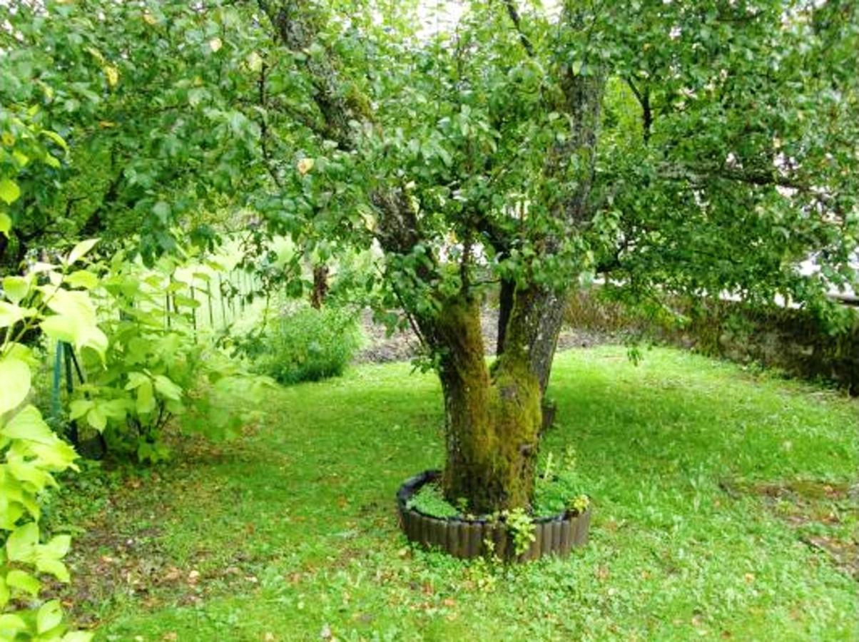 Maison de 3 chambres avec jardin clos et wifi a Charix Extérieur photo